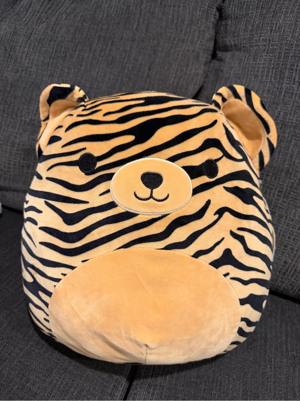 Squishmallows Tiger Stripe Plush Pillow - Tan & Black